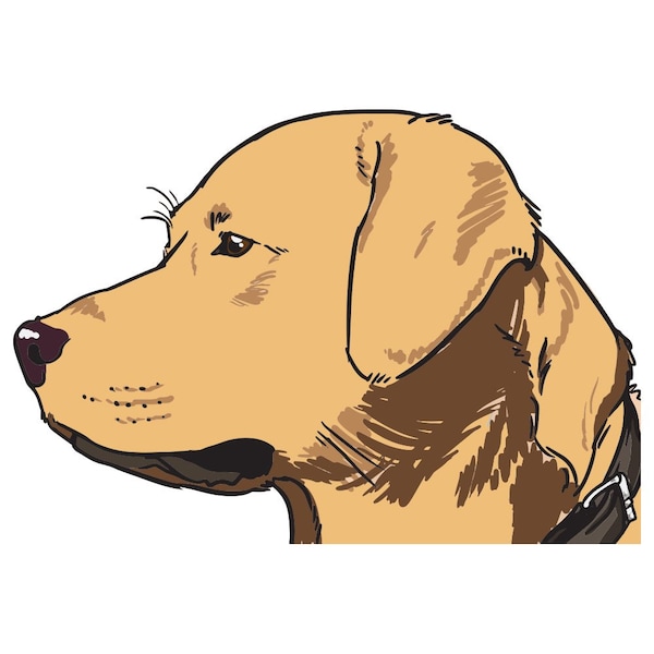 Signmission Golden Retriever Dog Decal, Dog Lover Decor Vinyl Sticker D-12-Golden Retriever - main